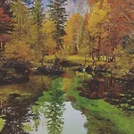Bohinjc Bohinj