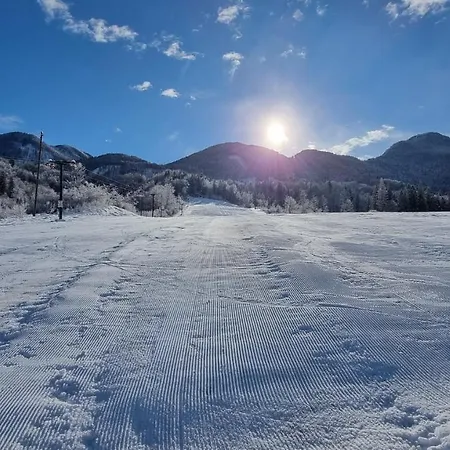 Appartement Bohinjc *