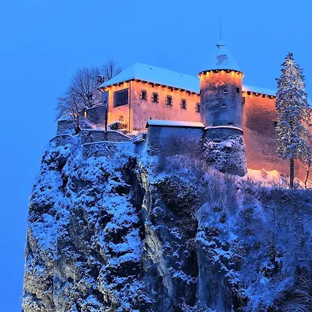 Bohinjc Апартаменты *