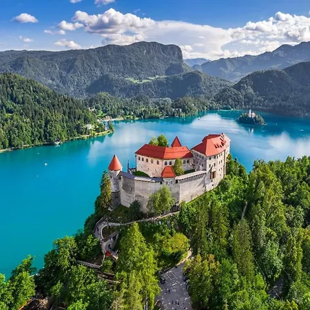 Appartement Bohinjc *
