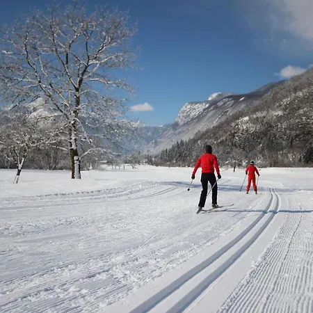 Bohinjc * Бохинь
