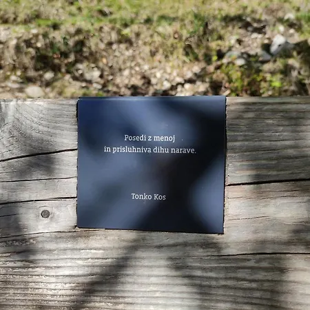 Bohinjc Appartamento Bohinj