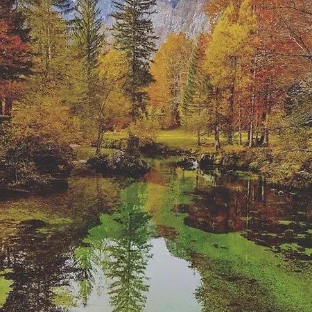 Bohinjc Бохинь