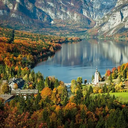 Bohinjc Lägenhet Bohinj