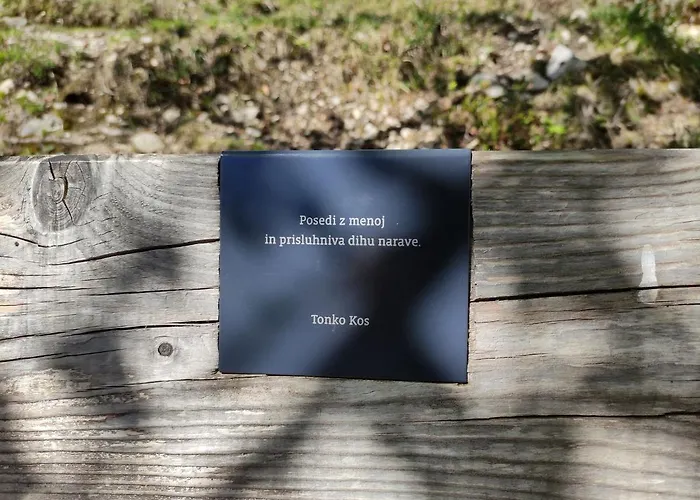 Bohinjc Daire Bohinj