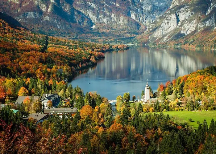 Bohinjc Daire Bohinj